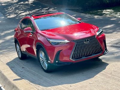 2025 Lexus NX 350h Luxury – Premium Hybrid SUV in India